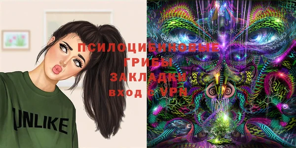 jwh Абаза