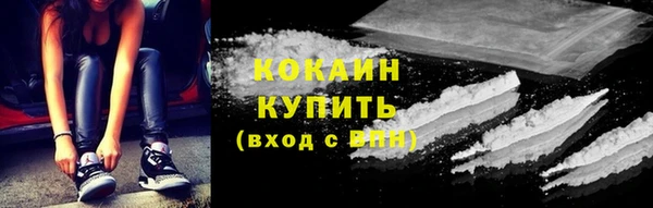 шишки Абинск