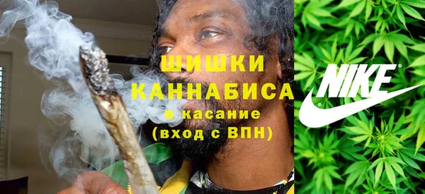 шишки Абинск
