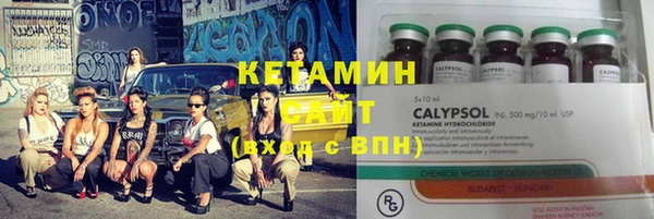 шишки Абинск