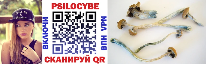 Галлюциногенные грибы мухоморы Кингисепп
